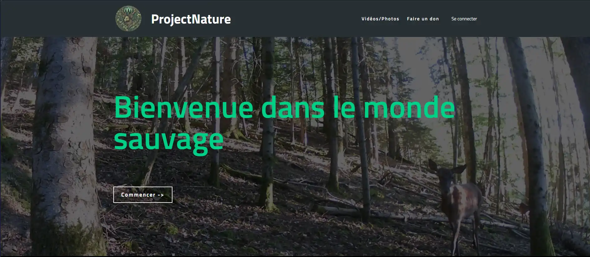 Image du projet